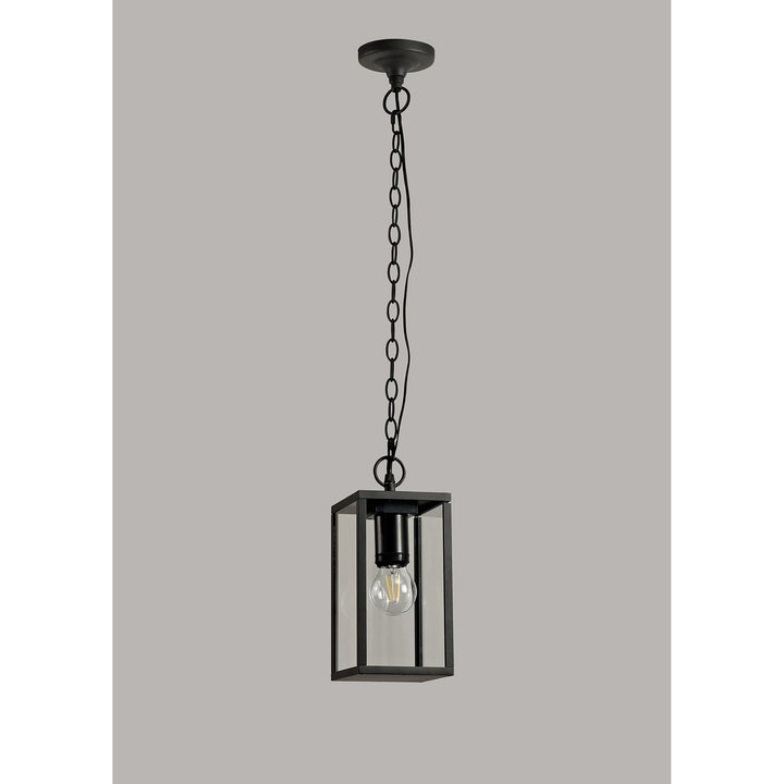 Nelson Lighting NL71189 Mateo Outdoor Pendant 1 Light Graphite Black