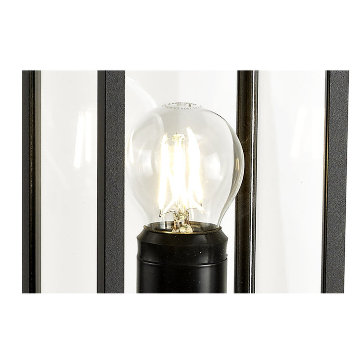 Nelson Lighting NL71209 Mateo Outdoor Tall Post 1 Light Graphite Black