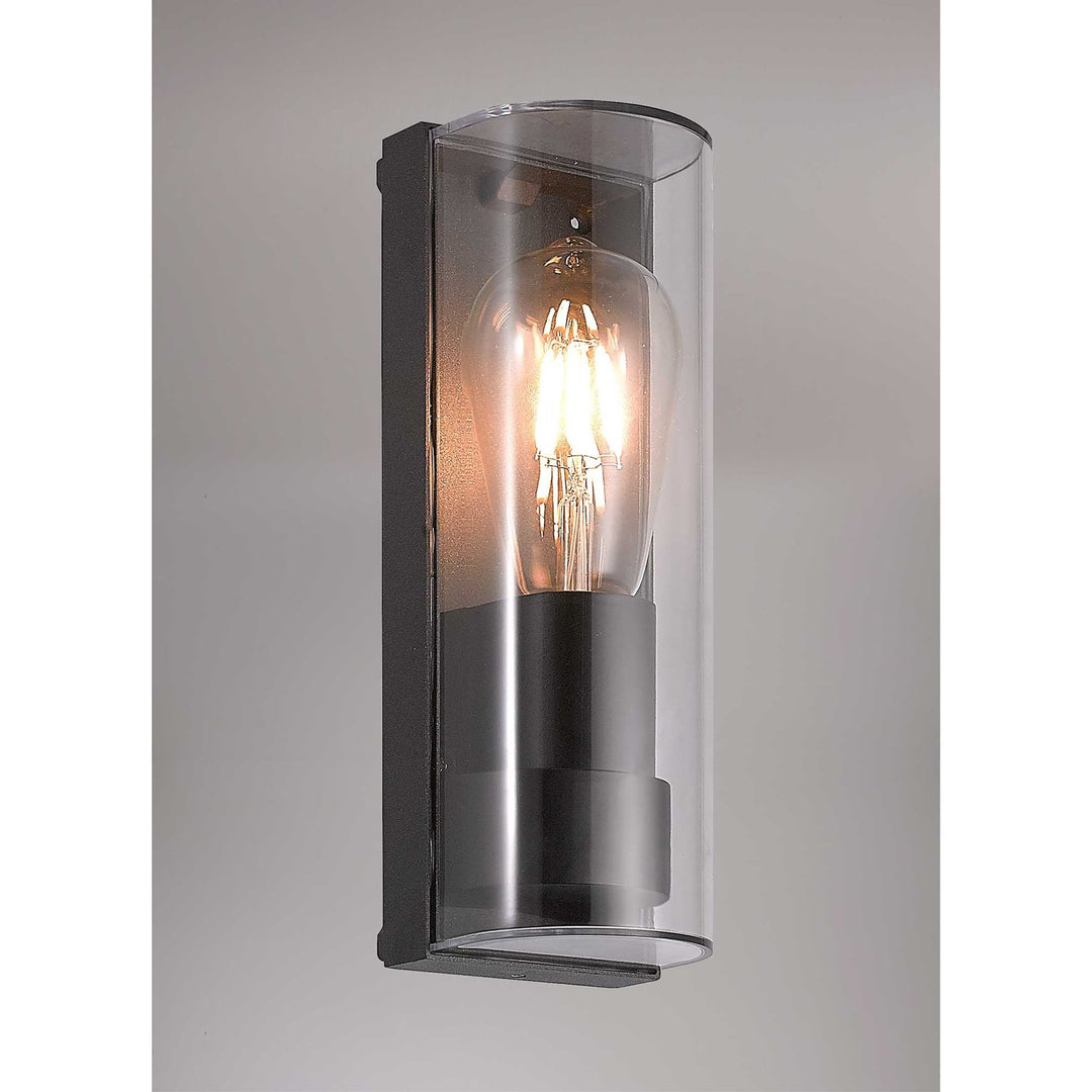 Nelson Lighting NL70649 Maximus Outdoor Wall Lamp Curved 1 Light Anthracite