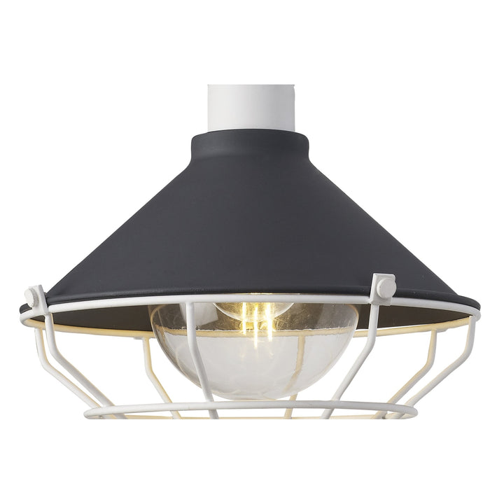 Nelson Lighting NL78449 Onaka Outdoor Pendant 1 Light Antracite/Matt White