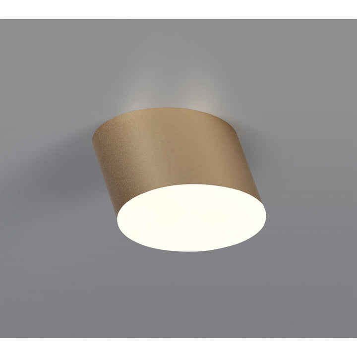 Nelson Lighting NL73869 Pluto Spot Light 10.5cm Round 1x 10W LED Satin Gold