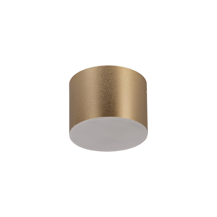 Nelson Lighting NL73869 Pluto Spot Light 10.5cm Round 1x 10W LED Satin Gold