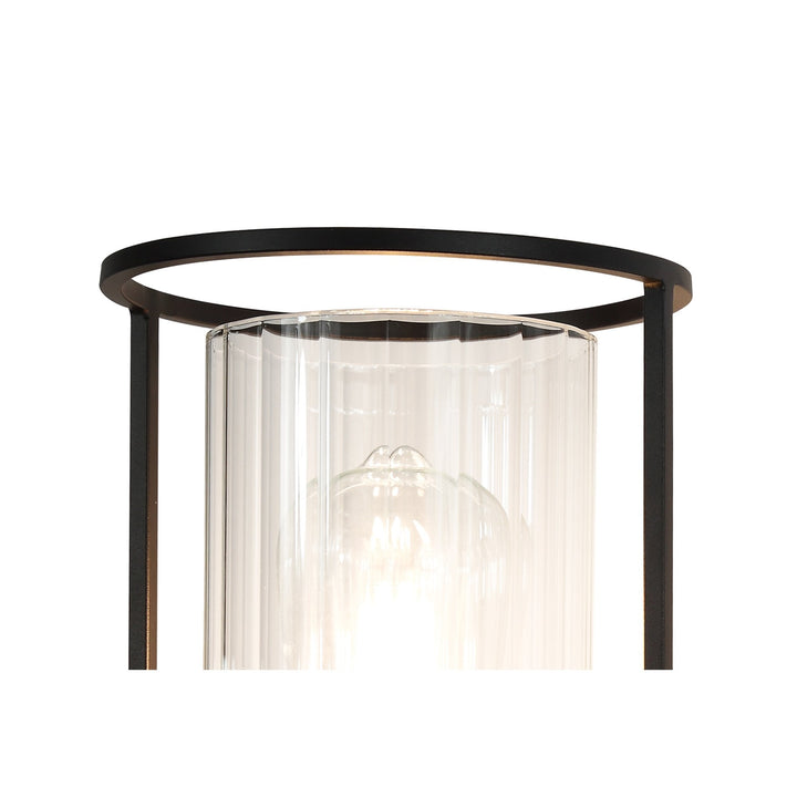 Nelson Lighting NL75879 Riannon Wall Light 1 Light Black/Clear Glass