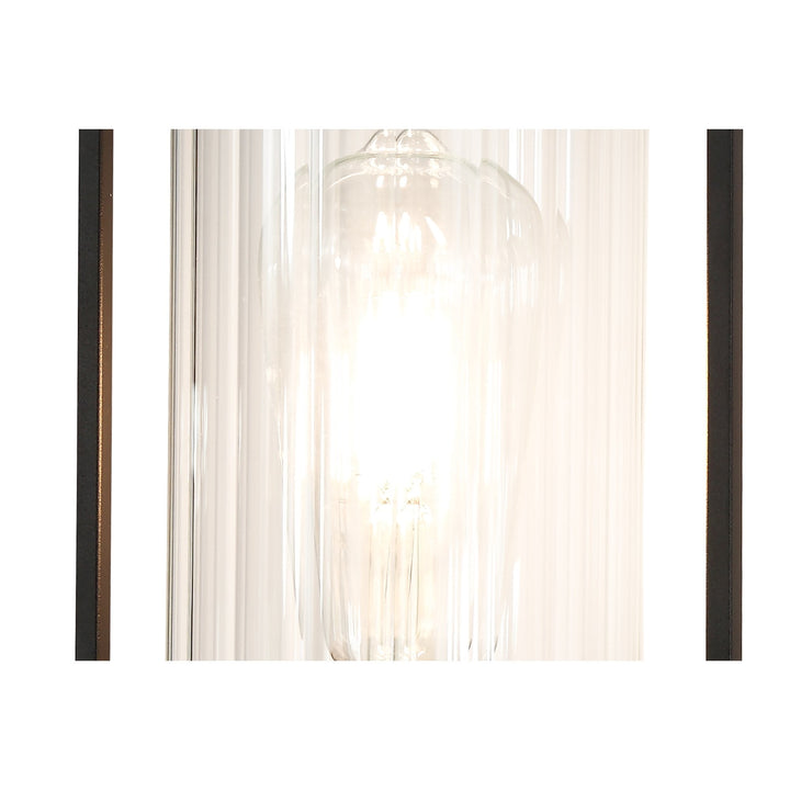 Nelson Lighting NL75879 Riannon Wall Light 1 Light Black/Clear Glass