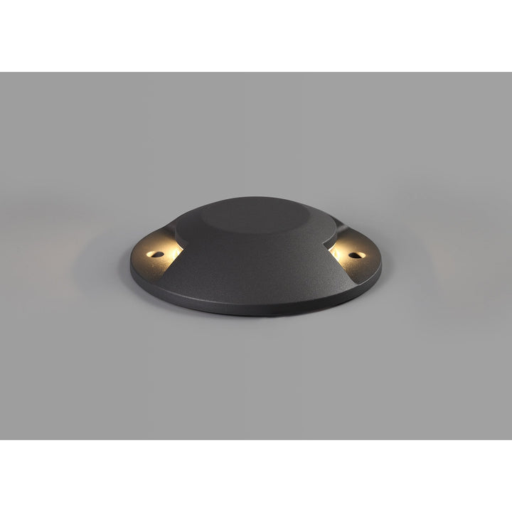 Nelson Lighting NL78249 Rode Inground Driveover 2 Light LED Anthracite