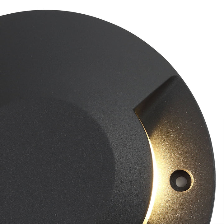 Nelson Lighting NL78249 Rode Inground Driveover 2 Light LED Anthracite