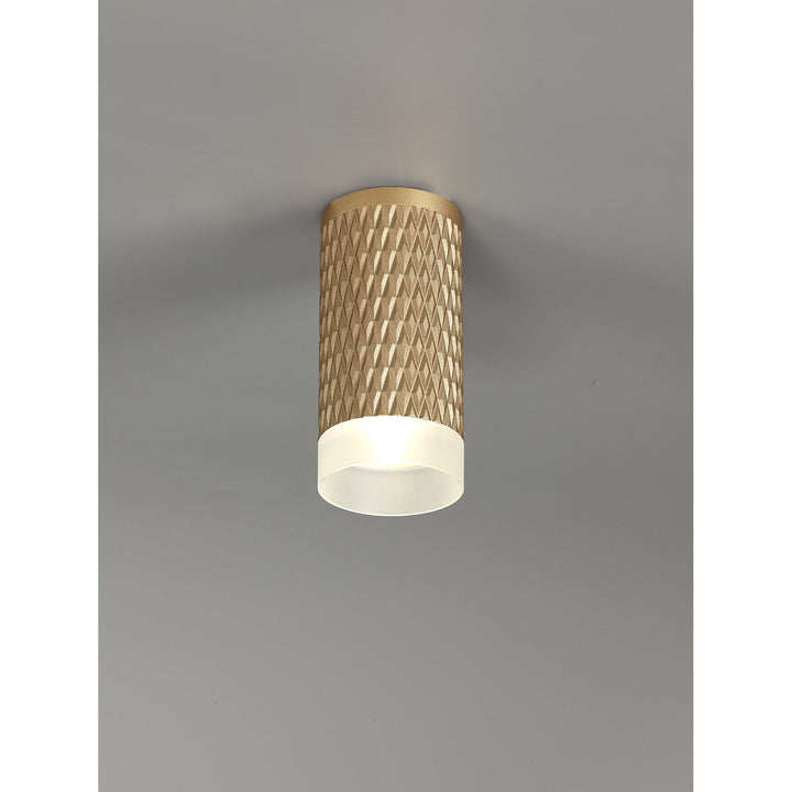 Nelson Lighting NLK01679 Silence 1 Light 11cm Surface Mounted Ceiling Champagne Gold/Acrylic Ring