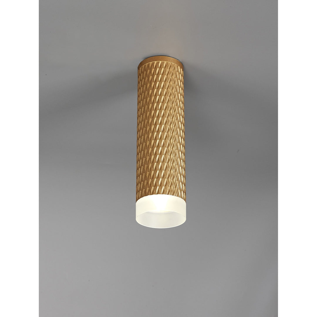 Nelson Lighting NLK01719 Silence 1 Light 20cm Surface Mounted Ceiling Champagne Gold/Acrylic Ring