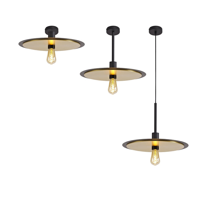 Nelson Lighting NL75679 | Tazzy 3-in-1 Light | Black & Gold Finish
