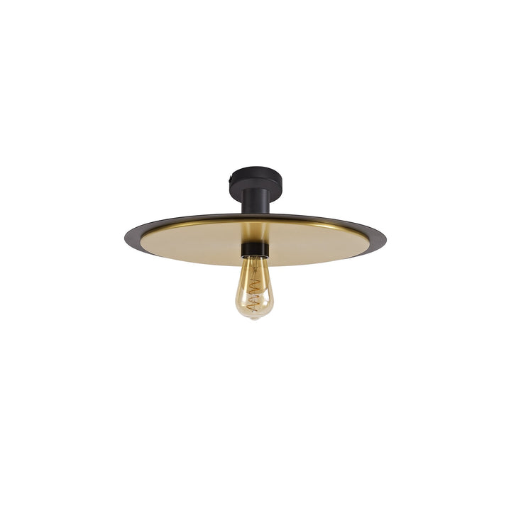 Nelson Lighting NL75679 | Tazzy 3-in-1 Light | Black & Gold Finish