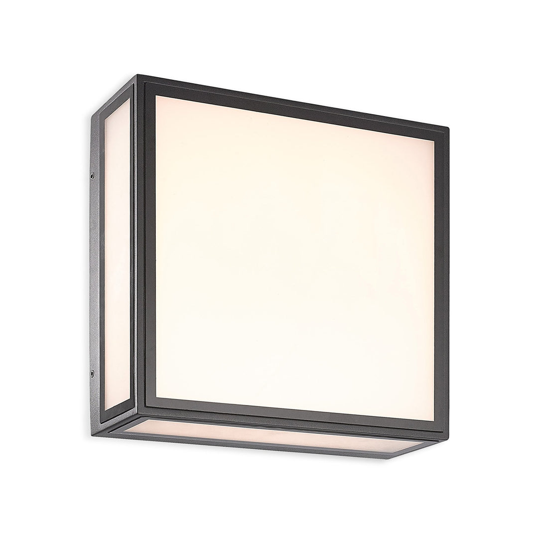 Mantra M7055 Bachelor Outdoor Ceiling/Wall 14W LED Anthracite
