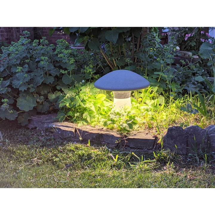 Mantra M7107 | Taos Outdoor Ground Light | Dark Grey Cement Finish