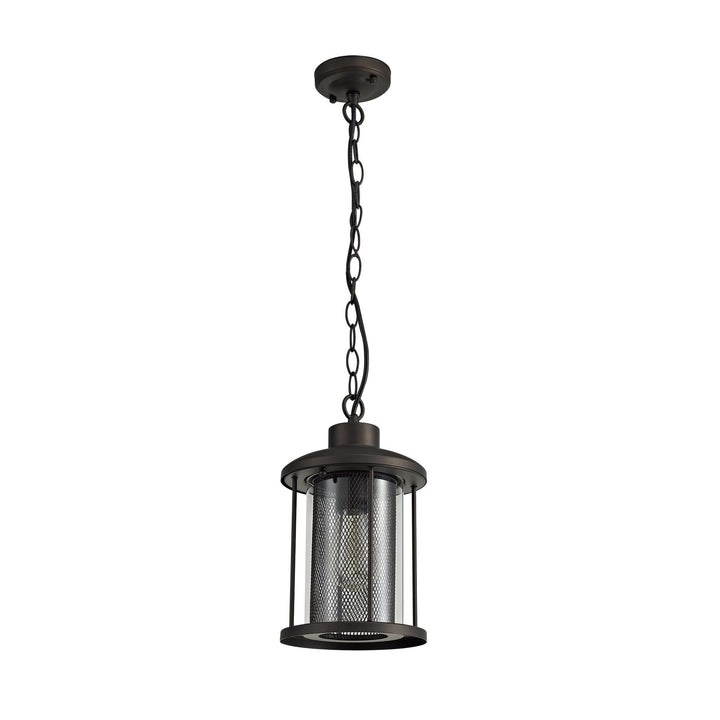 Nelson Lighting NL73169 Argon Outdoor Pendant Antique Bronze/Clear Glass
