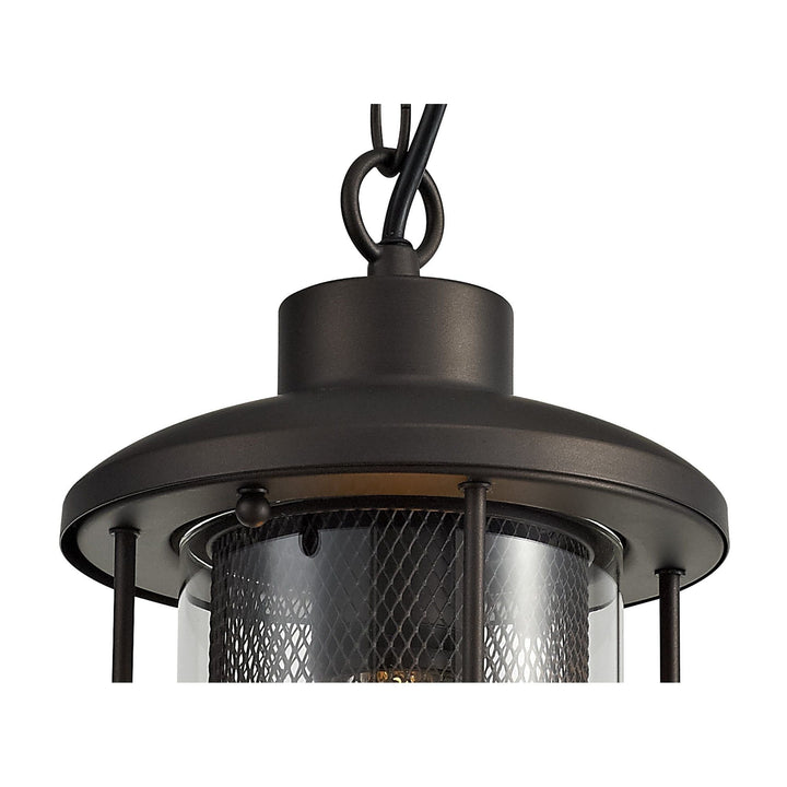 Nelson Lighting NL73169 Argon Outdoor Pendant Antique Bronze/Clear Glass