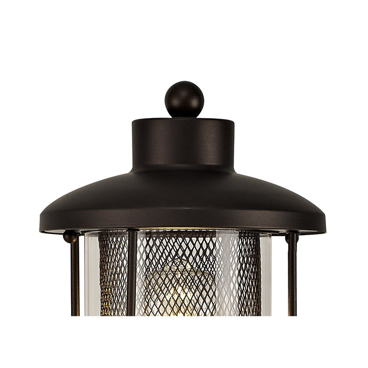 Nelson Lighting NL74329 Argon Outdoor Single Headed Post Lamp Antique Bronze/Clear Glass