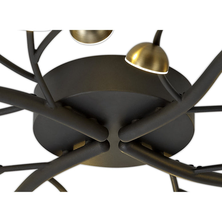 Nelson Lighting NL71789 Kingly 28 Light Semi-Flush LED Black/Antique Brass