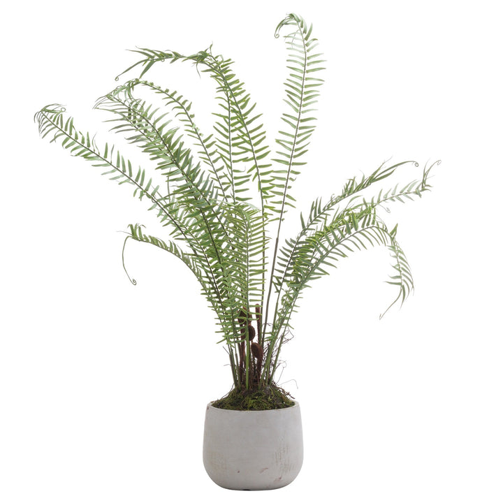 Hill Interiors 21242 Boston Large Potted Fern