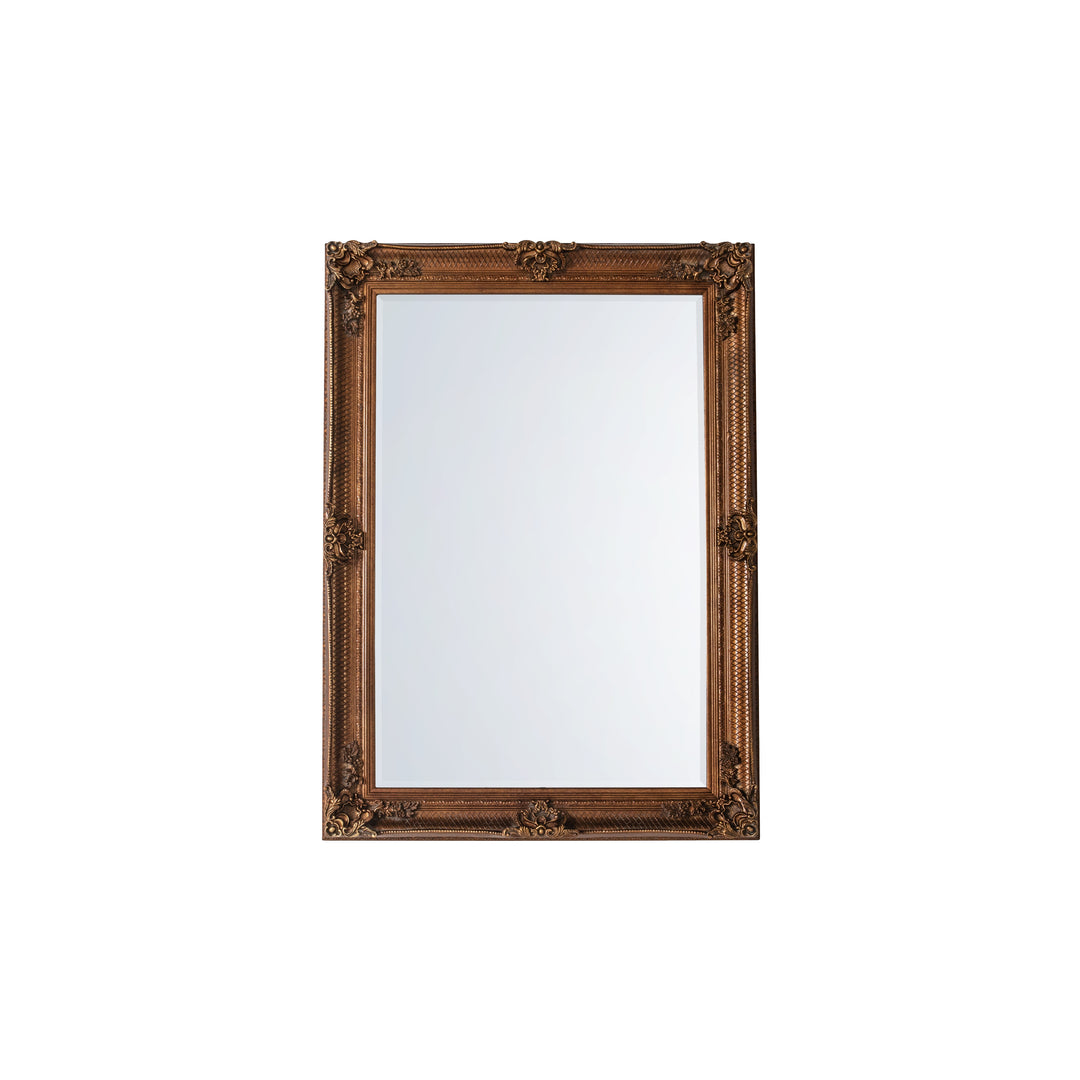 Nelson Lighting NL1409497 Aged Gold Wood Rectangle Mirror