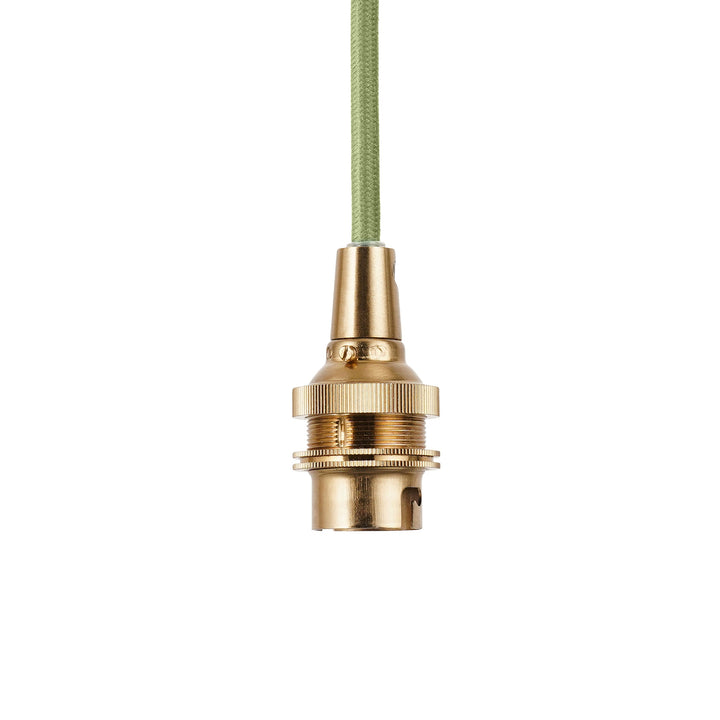 125460 Eltham &amp; Leaf 40cm Pendant Brass Green