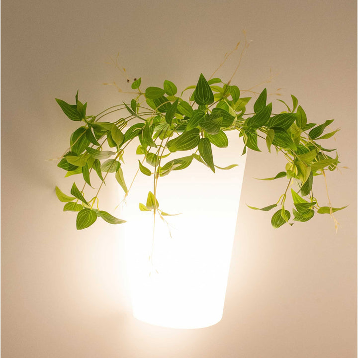 Mantra M6508 Teja Outdoor Wall Lamp 1 Light White (S)