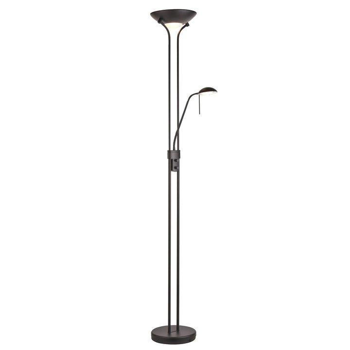 Endon 107738 Rome Mother & Child Task Floor Lamp Black & Opal