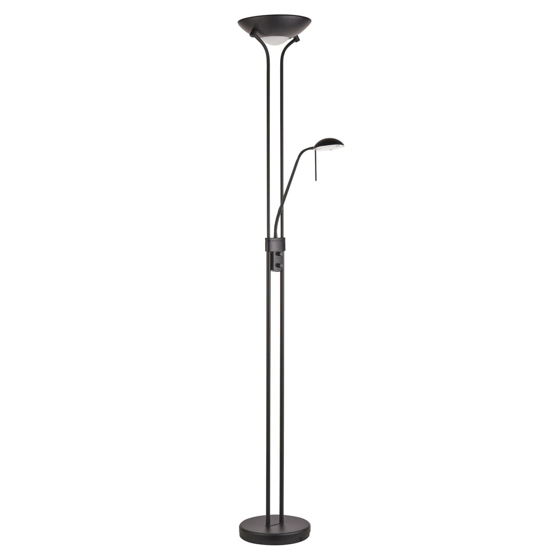 Endon 107738 Rome Mother & Child Task Floor Lamp Black & Opal