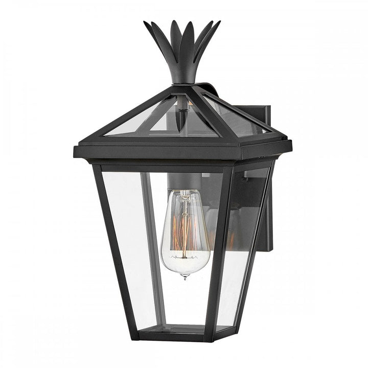 Hinkley Lighting HK-PALMA-S-BK Palma 1 Light Outdoor Small Wall Lantern Black