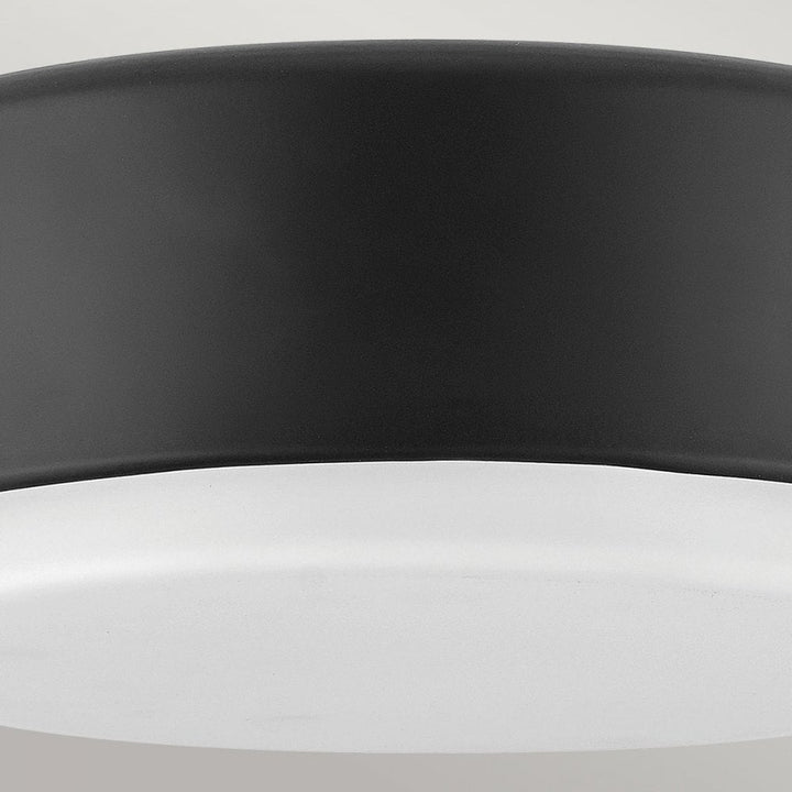 Hinkley Lighting HK-CEDRIC-F-S-BK Cedric 2 Light Flush Black