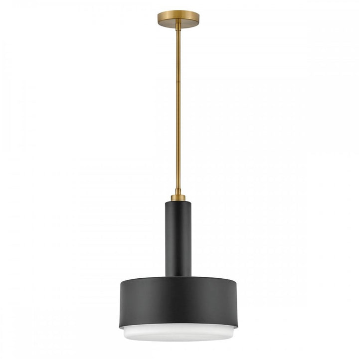 Hinkley Lighting HK-CEDRIC-P-M-BR Cedric 2 Light Medium Pendant Lacquered Brass
