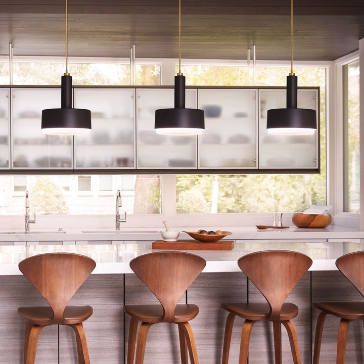Hinkley Lighting HK-CEDRIC-P-M-BR Cedric 2 Light Medium Pendant Lacquered Brass