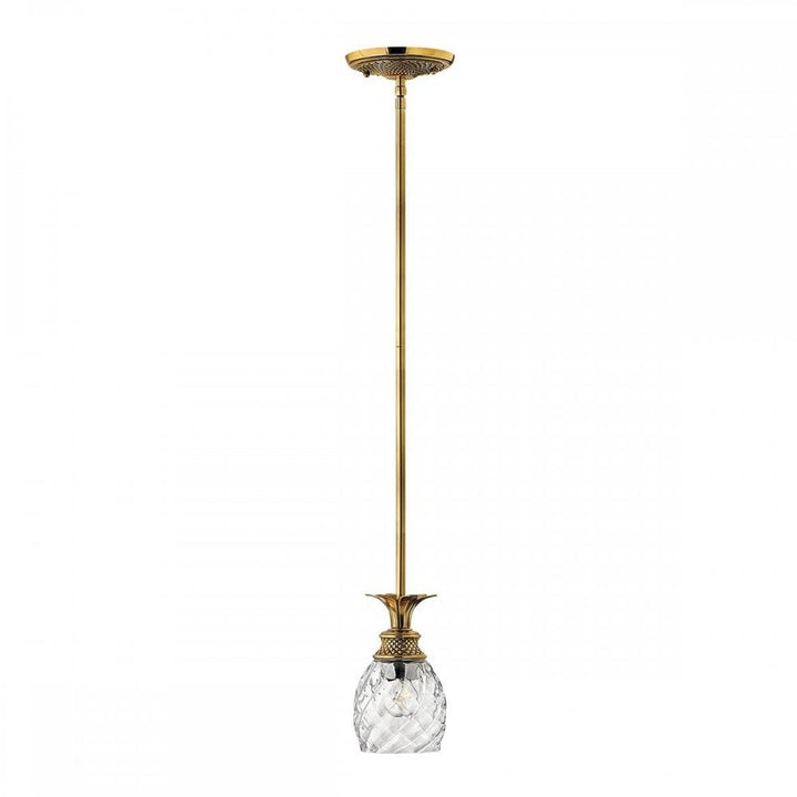 Hinkley HK-PLANTATION-MP-BB Plantation 1 Light Pendant Burnished Brass