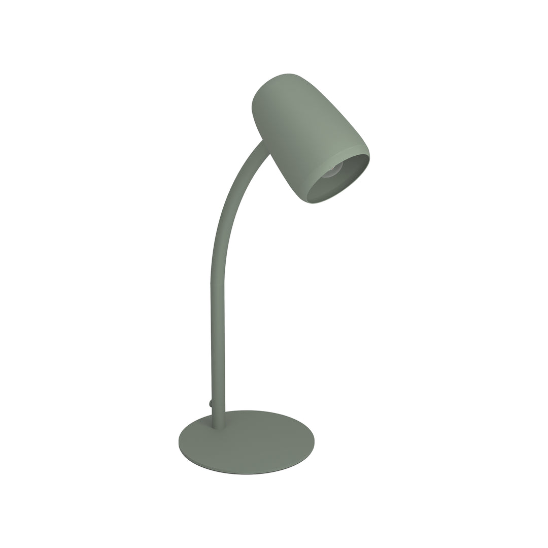 Eglo 901831 Carlo Modern Steel Flexible Desk Lamp Green