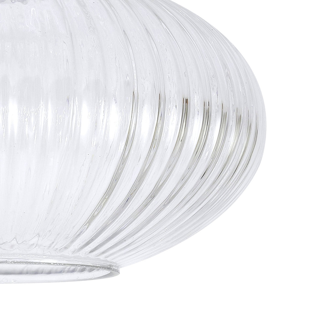 Nelson Lighting NL73319 Amsterdam Shade Clear