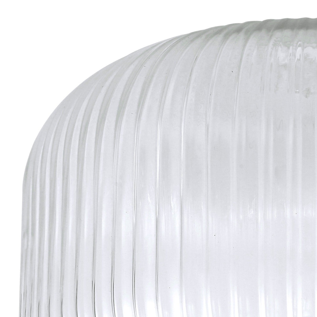 Nelson Lighting NL83019 Amsterdam Shade Clear