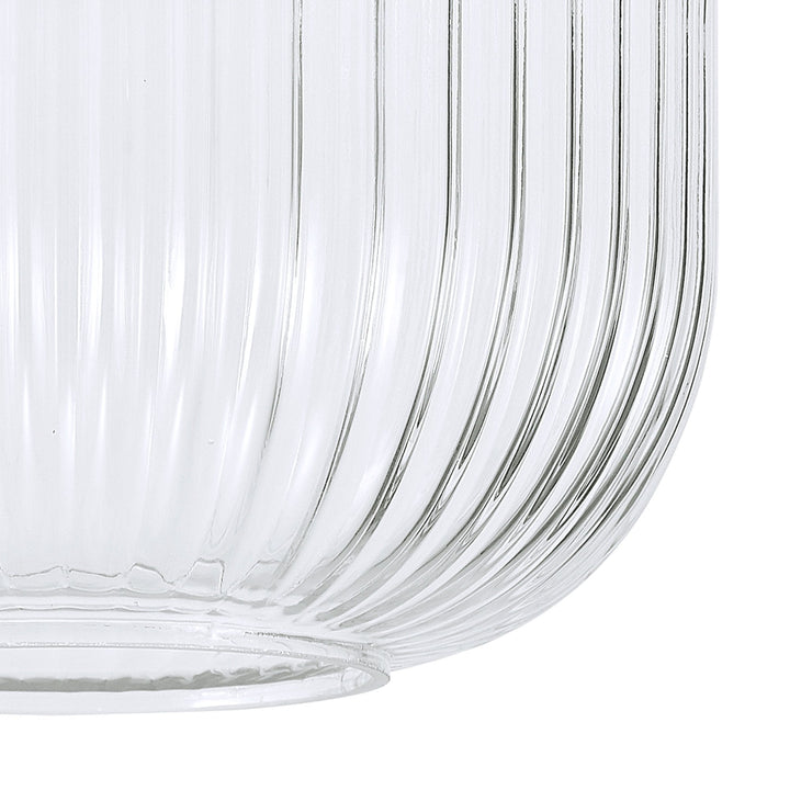 Nelson Lighting NL83049 Amsterdam Shade Clear