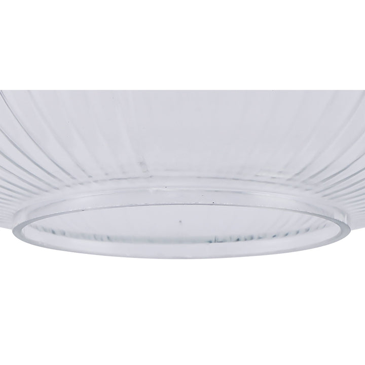 Nelson Lighting NL83049 Amsterdam Shade Clear