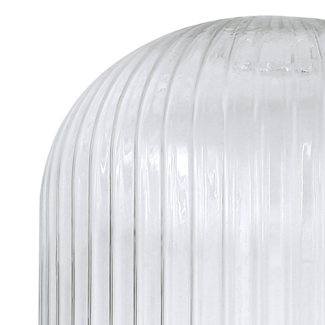 Nelson Lighting NL83879 Amsterdam Shade Clear