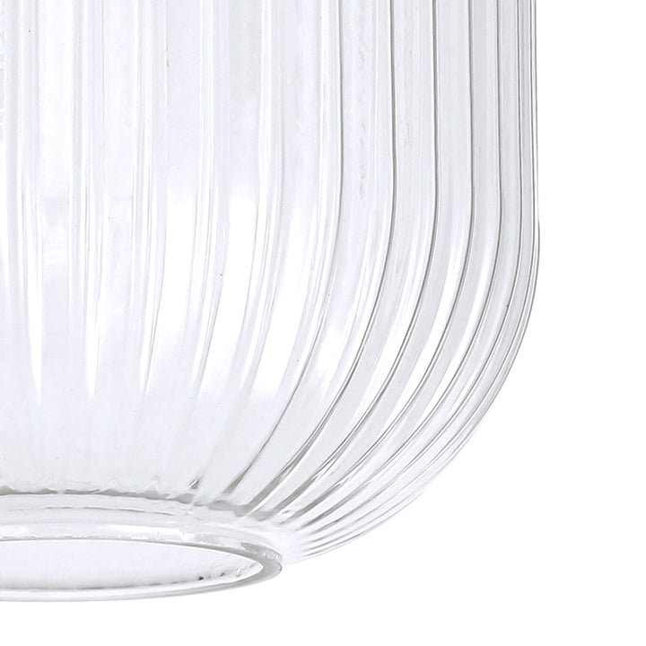 Nelson Lighting NL83879 Amsterdam Shade Clear