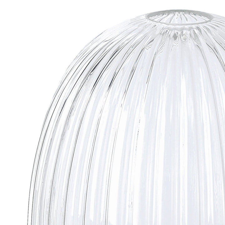 Nelson Lighting NL86629 Amsterdam Shade Clear