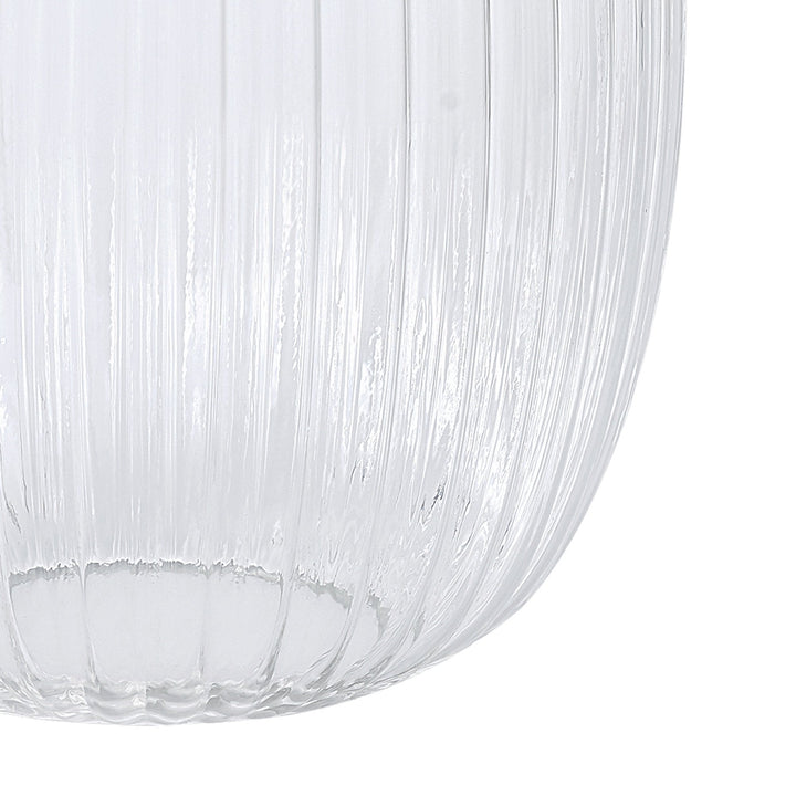 Nelson Lighting NL86629 Amsterdam Shade Clear