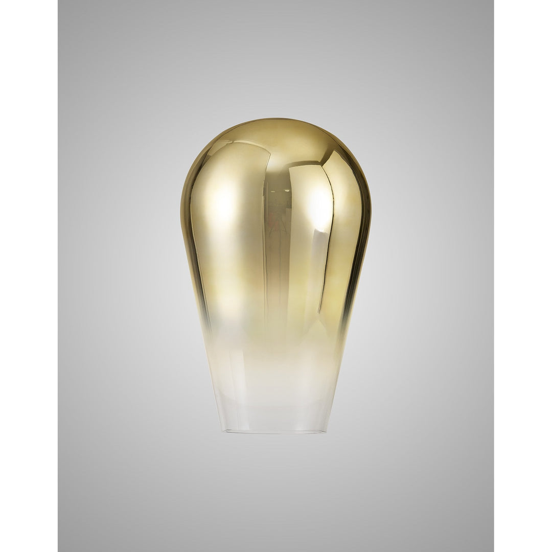 Nelson Lighting NL86979 Amsterdam Shade Brass Gold Clear