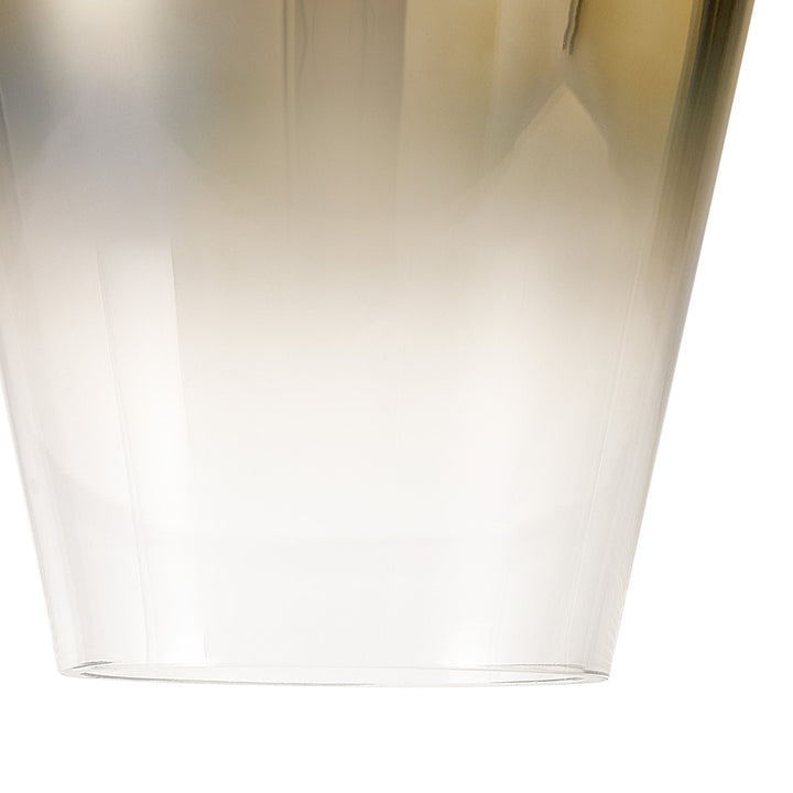 Nelson Lighting NL86979 Amsterdam Shade Brass Gold Clear