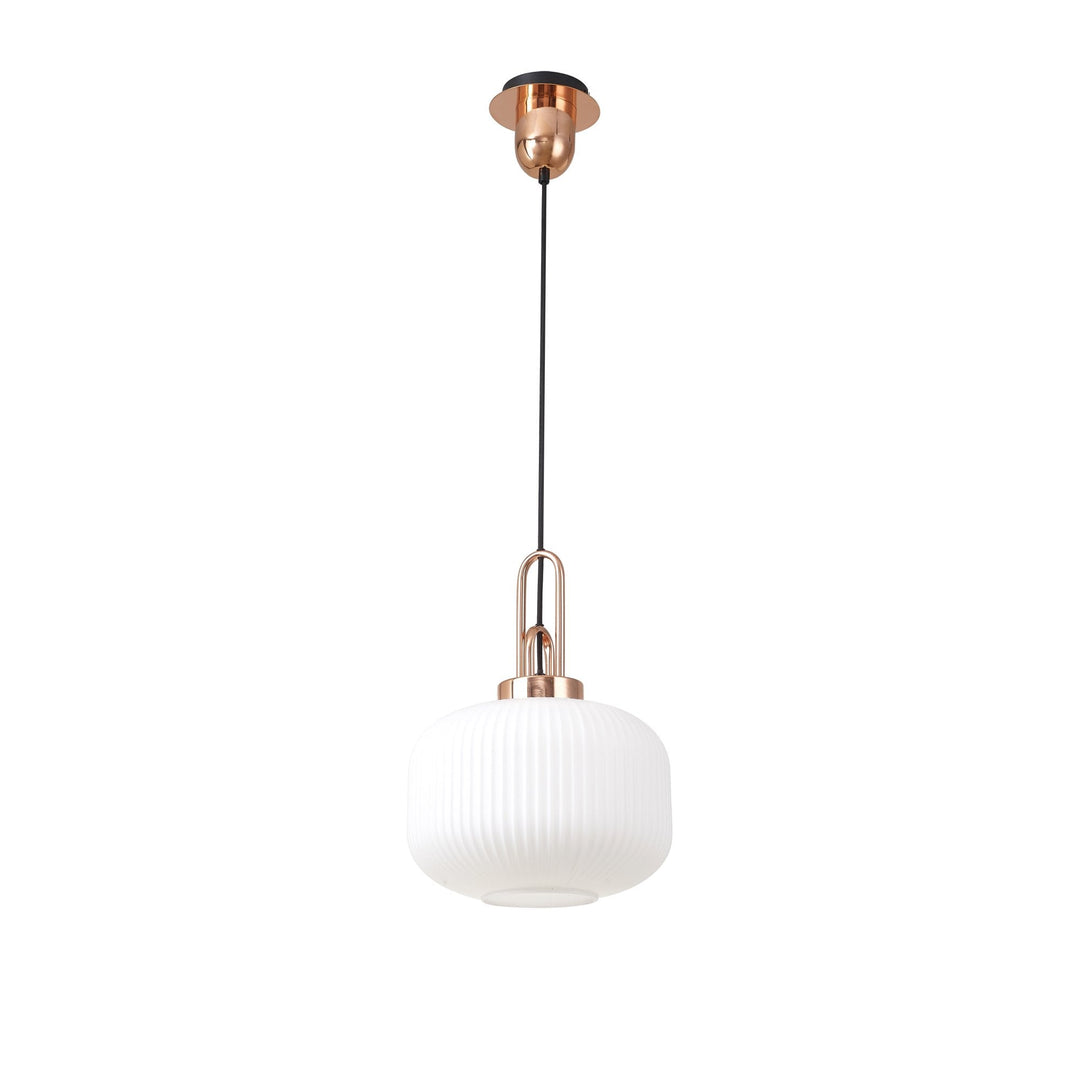 Nelson Lighting NLK05269 Amsterdam 1 Light Pendant Copper Matt Black