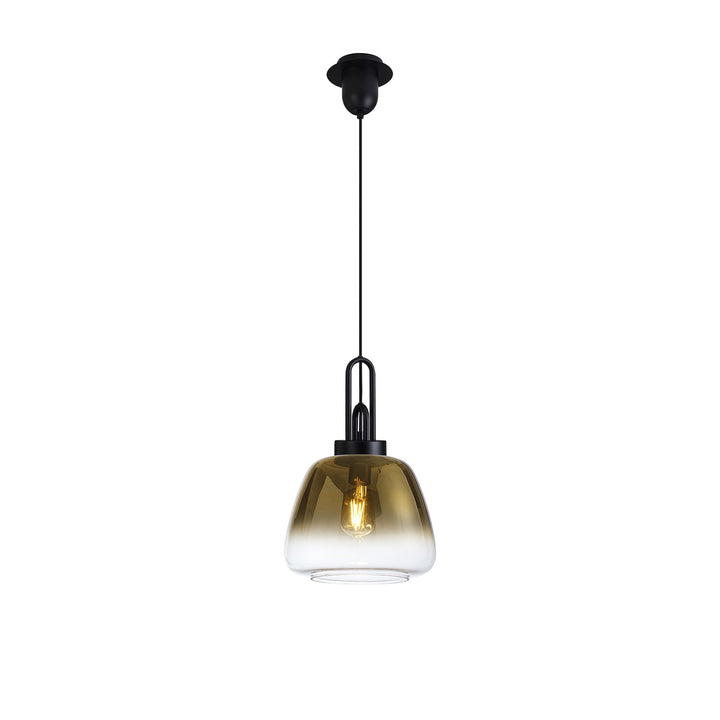 Nelson Lighting NLK15509 Acme 1 Light Pendant Matt Black Matt Black