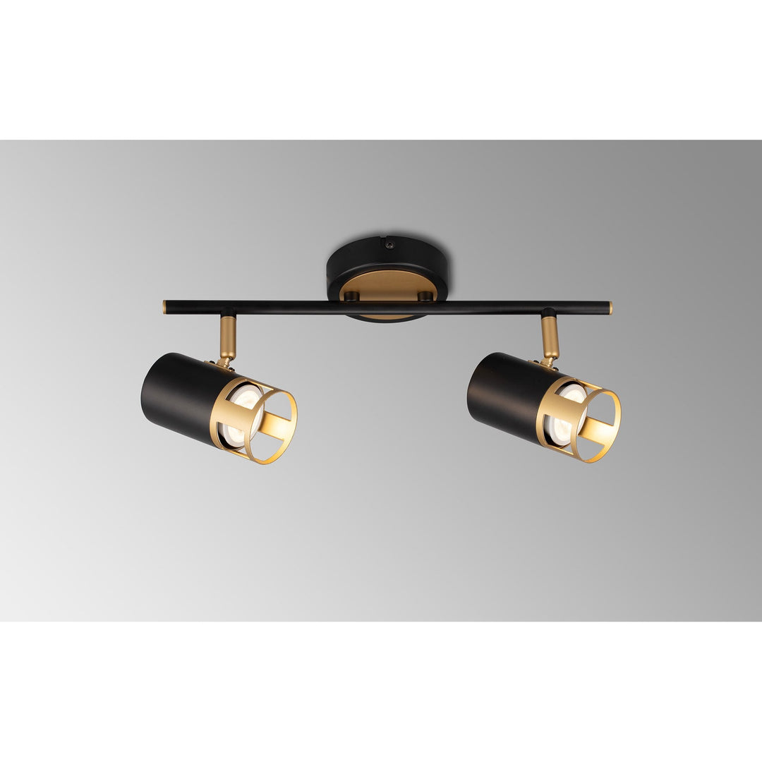 Nelson Lighting NL99559 Adner 2 Light Linear Bar Spotlight Black Painted Gold