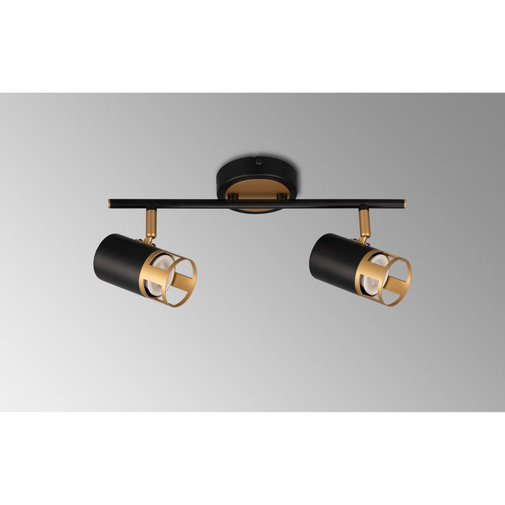 Nelson Lighting NL99559 Adner 2 Light Linear Bar Spotlight Black Painted Gold