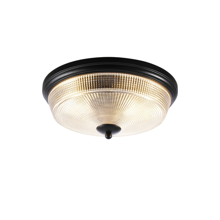 Nelson Lighting NL93819 | Albay 2 Light Bathroom Flush Ceiling Light | Satin Black