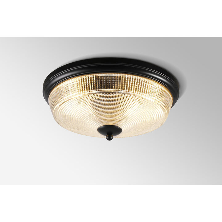 Nelson Lighting NL93819 | Albay 2 Light Bathroom Flush Ceiling Light | Satin Black