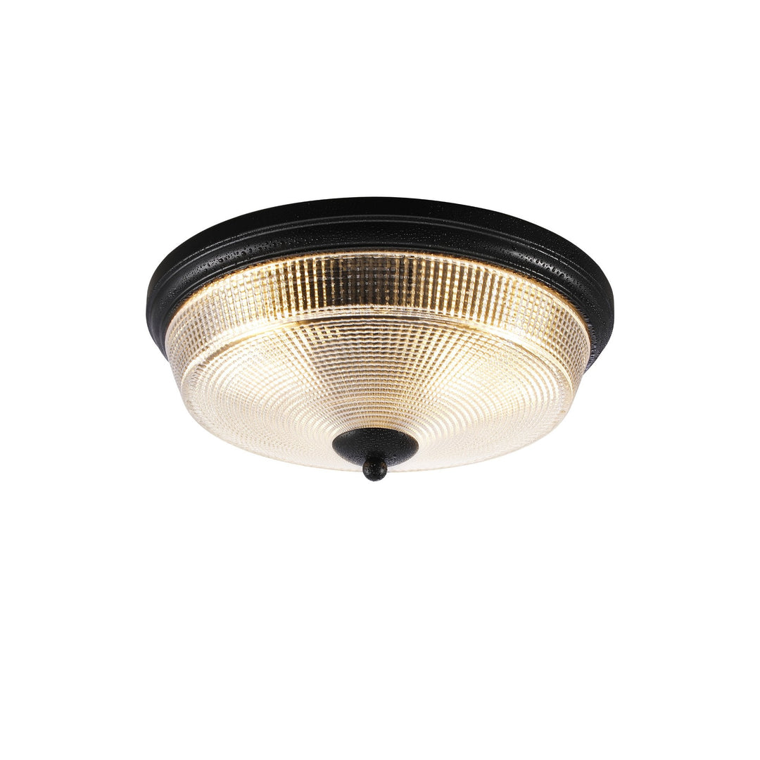 Nelson Lighting NL93819 | Albay 2 Light Bathroom Flush Ceiling Light | Satin Black