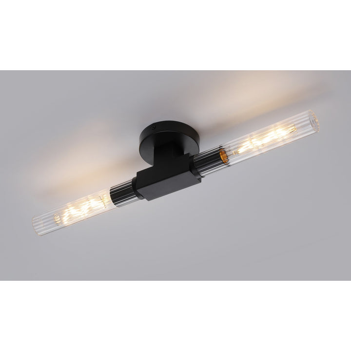 Nelson Lighting NL87009 Alissa 2 Light Bathroom Wall/Ceiling Light Satin Black